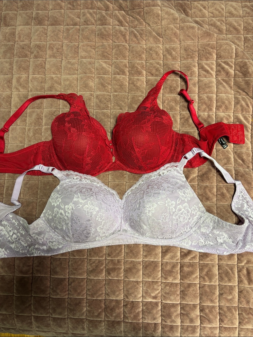 Torrid Lace Bras